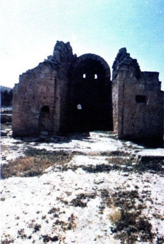 photo2.jpg