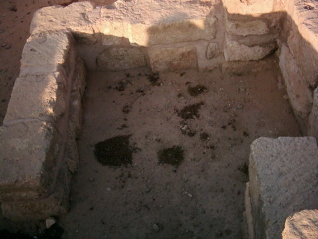 photo7.jpg