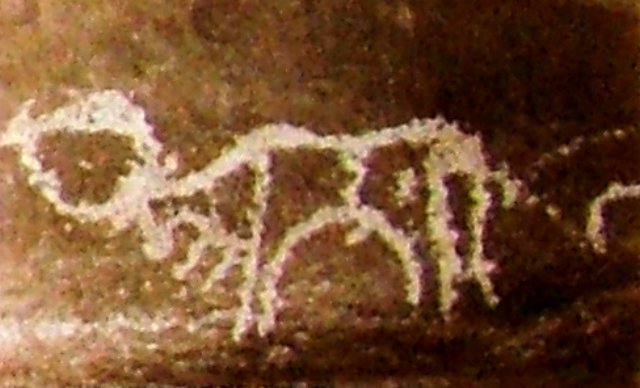 photo13.jpg