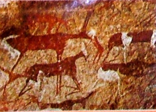 photo32.jpg