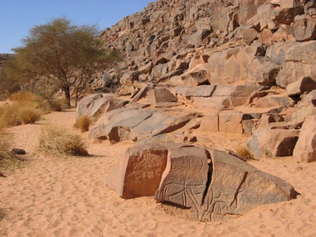 photo55.jpg