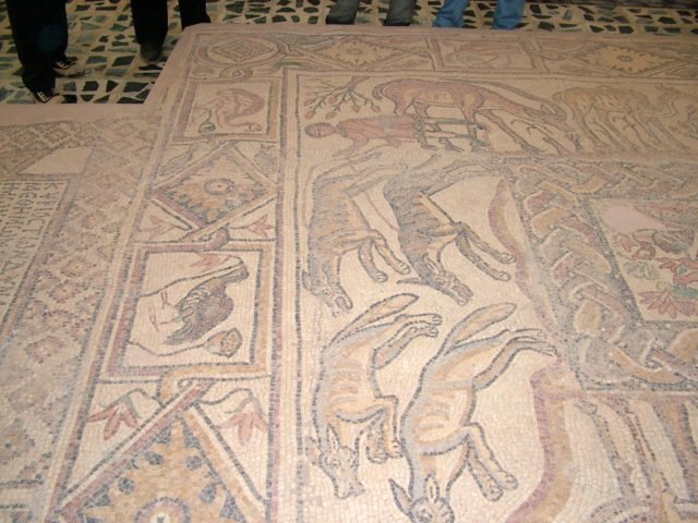 photo29.jpg