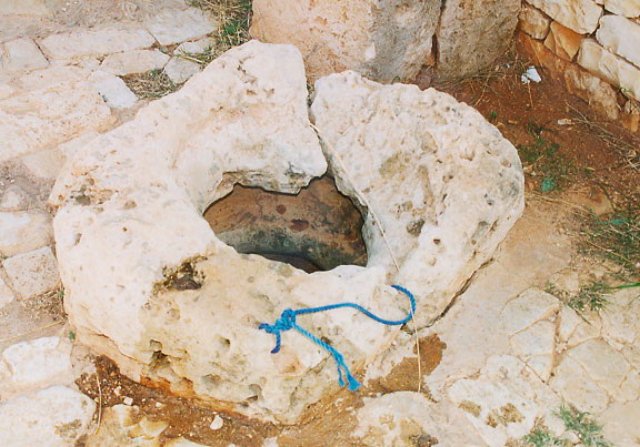 photo43.jpg