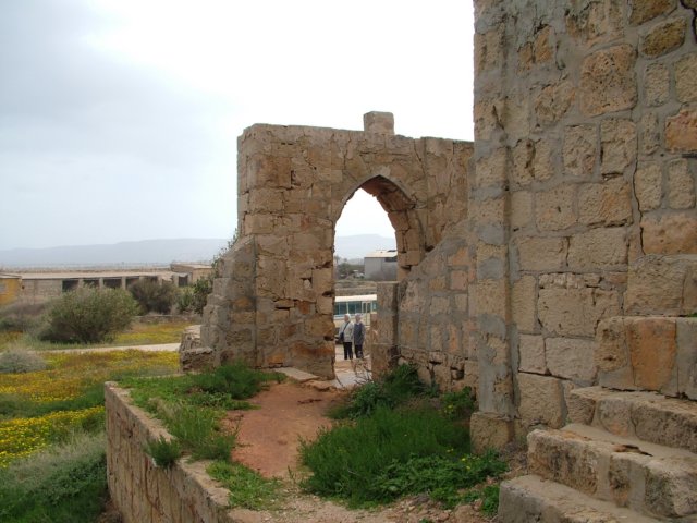 dscf6426.jpg