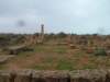 dscf6507_small.jpg