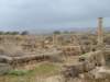 dscf6510_small.jpg