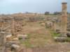 dscf6512_small.jpg