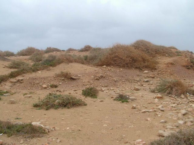 dscf6519.jpg