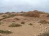 dscf6519_small.jpg