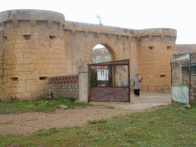 dscf6595.jpg