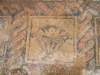 dscf6602_small.jpg