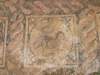dscf6603_small.jpg