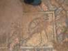 dscf6605_small.jpg