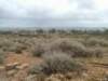 dscf6611_small.jpg