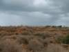 dscf6612_small.jpg