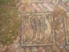 dscf6614_small.jpg