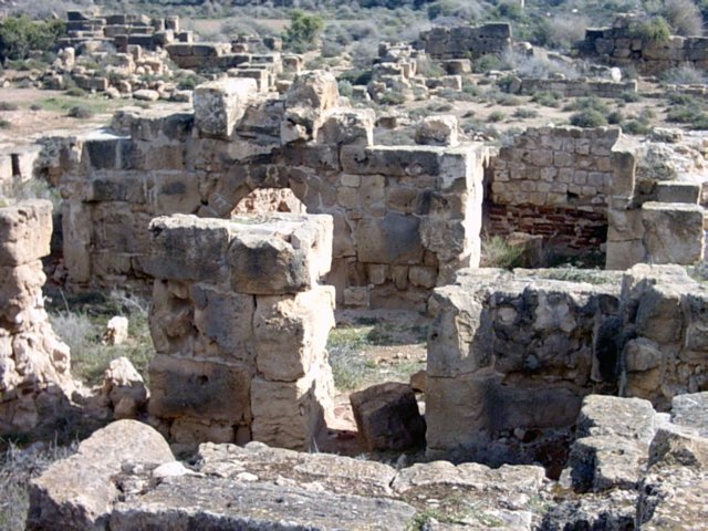 pict0012.jpg