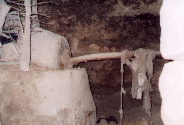 photo.jpg