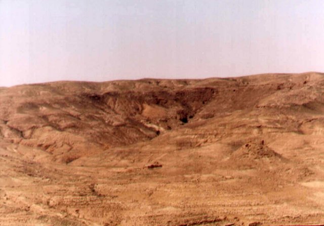 photo19.jpg