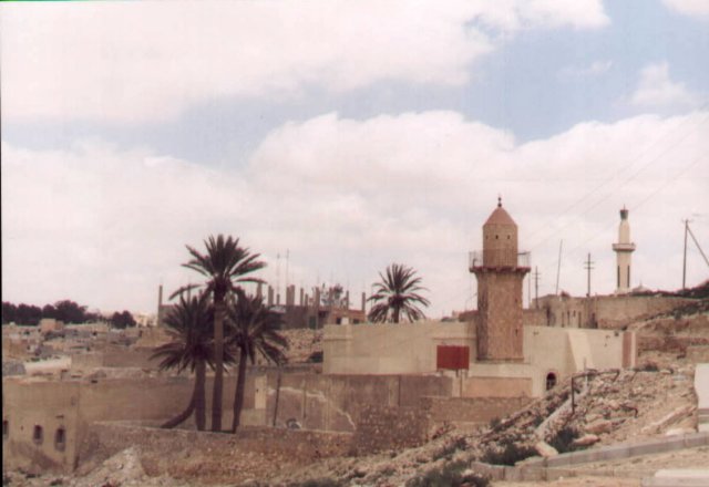 photo8.jpg