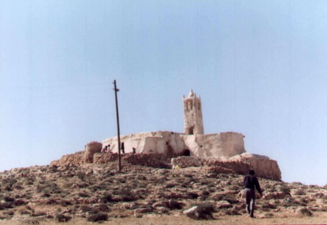 photo9.jpg