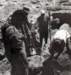 photo190_small.jpg